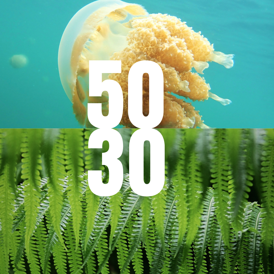 Graphic of the Micronesia Challenge